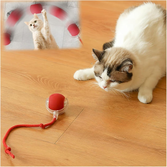 50% off sports-activated cat balls