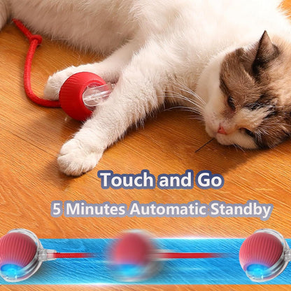 50% off sports-activated cat balls