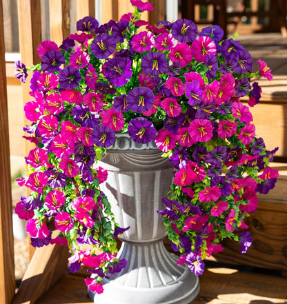 UV Resistant Hanging Morning Glory for Fall Decor