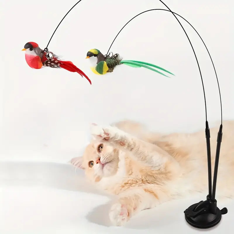 Upgraded cat teaser 40% off